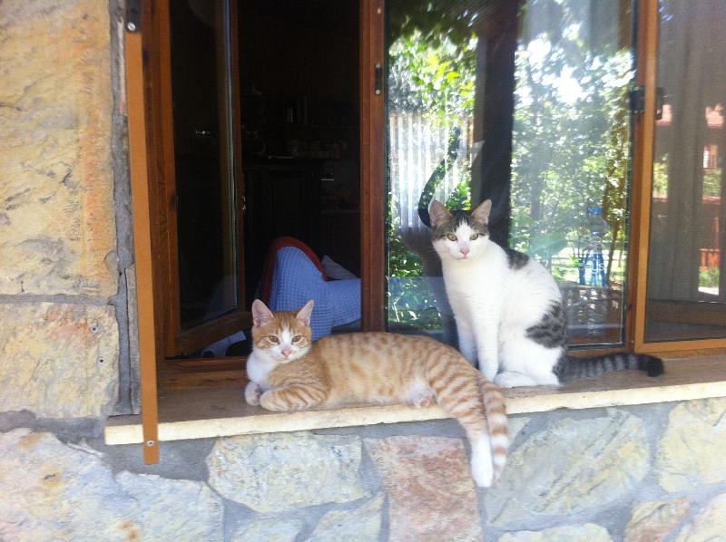 Olympos Mitos Hotel Exterior foto